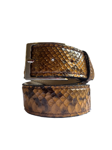 Belt in Python Man 4 cm