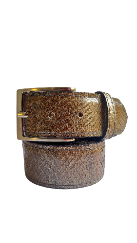 Belt in Python Man 4 cm